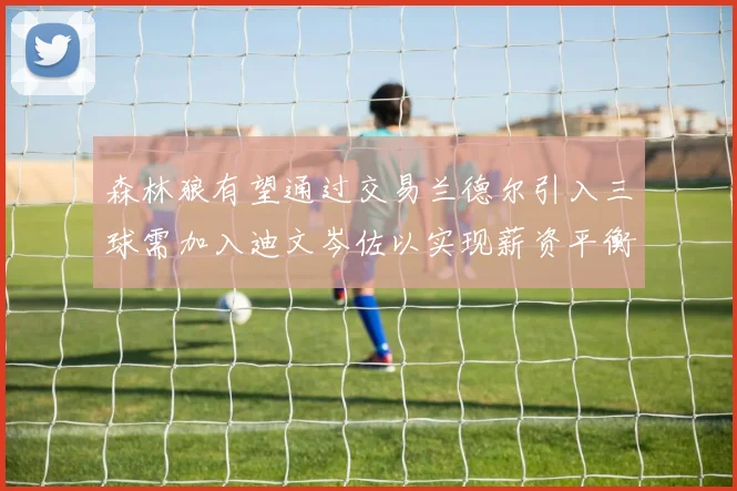 森林狼有望通过交易兰德尔引入三球需加入迪文岑佐以实现薪资平衡