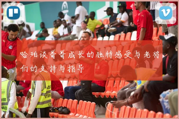 哈珀谈哥哥成长的独特感受与老将们的支持与指导