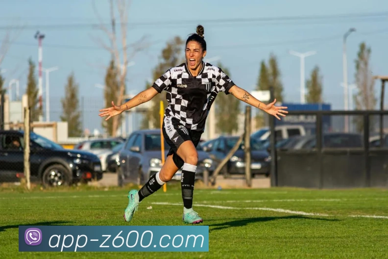 App 示例图